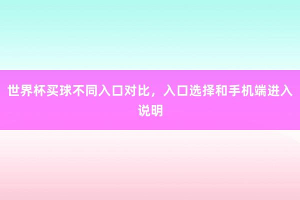 世界杯买球不同入口对比，入口选择和手机端进入说明