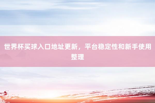 世界杯买球入口地址更新，平台稳定性和新手使用整理