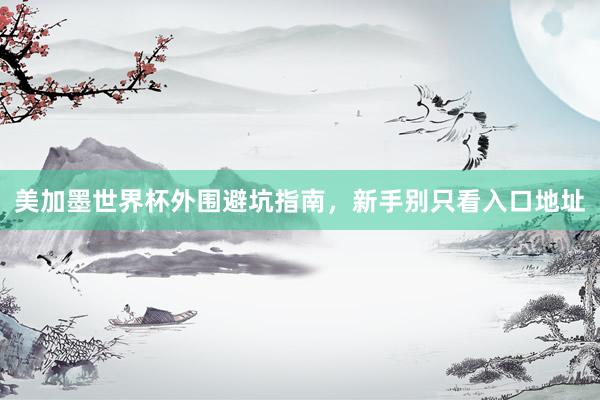 美加墨世界杯外围避坑指南，新手别只看入口地址