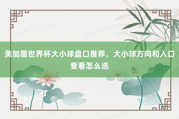 美加墨世界杯大小球盘口推荐，大小球方向和入口查看怎么选